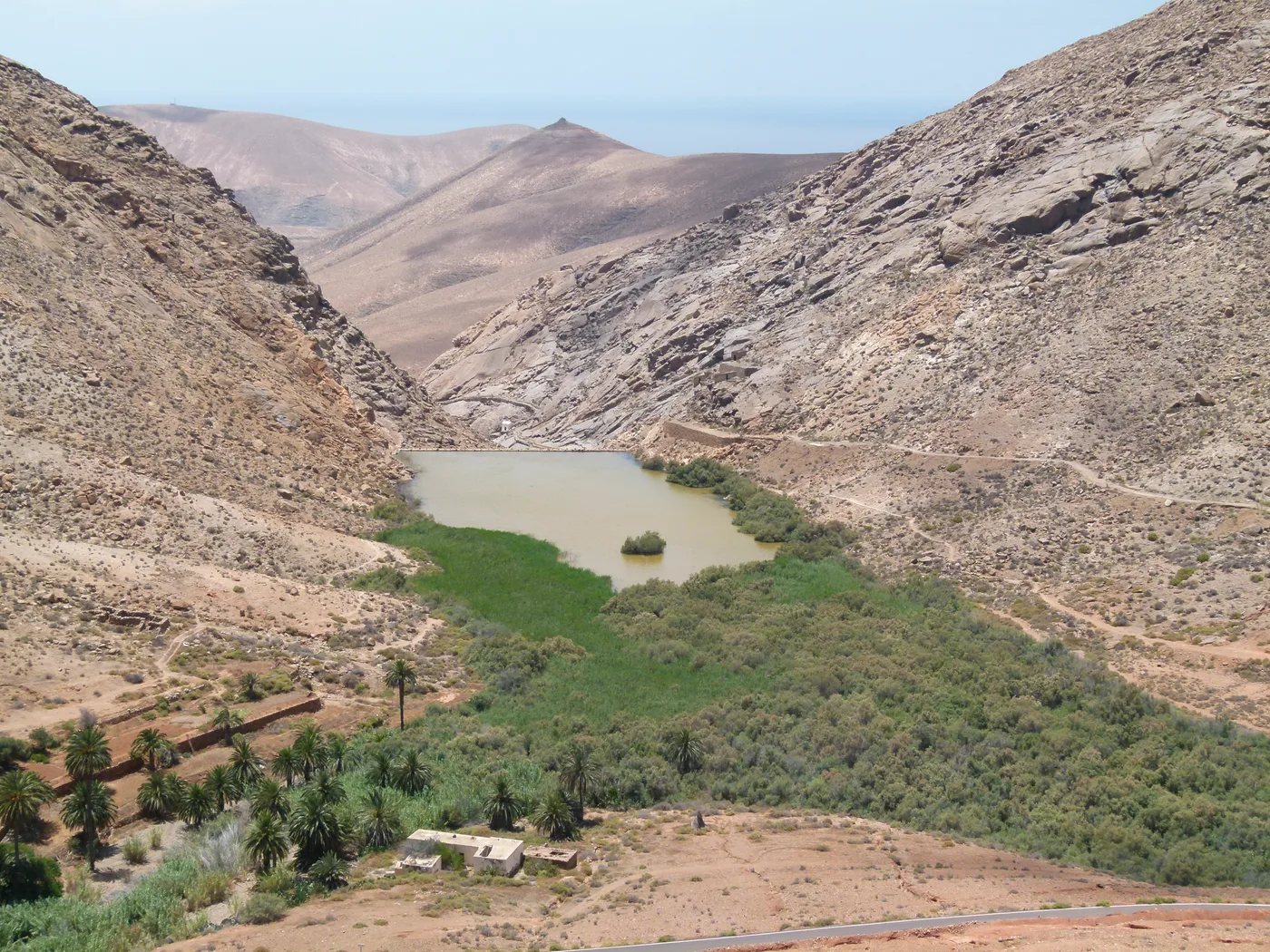 The Presa de las Peñitas reservoir filling a narrow desert ravine, with palm trees and old stone ruins along its green shoreline